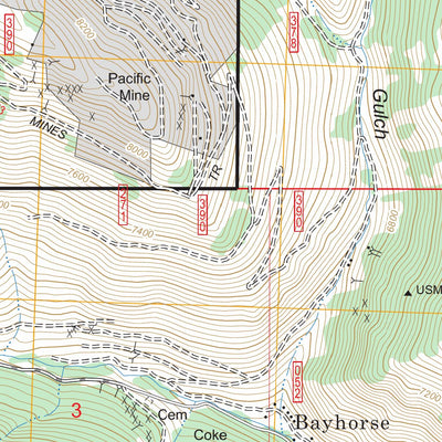 US Forest Service - Topo Bayhorse, ID FSTopo Legacy digital map