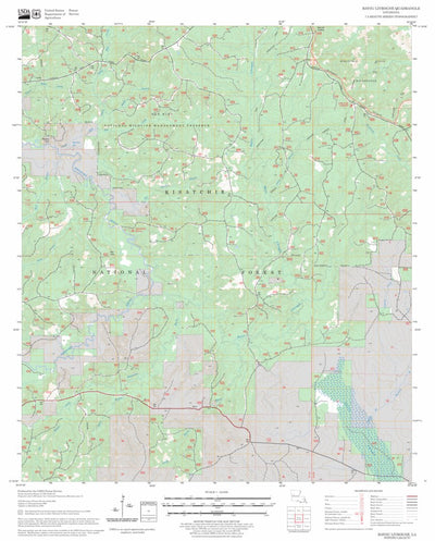 US Forest Service - Topo Bayou Livrogne, LA FSTopo Legacy digital map
