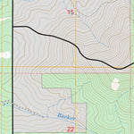 US Forest Service - Topo Bayview, ID FSTopo Legacy digital map