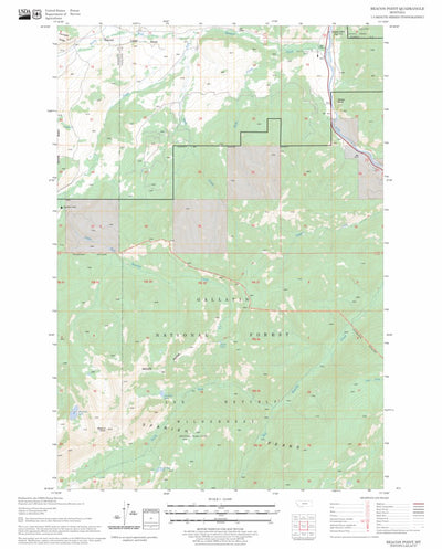 US Forest Service - Topo Beacon Point, MT FSTopo Legacy digital map