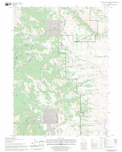 US Forest Service - Topo Bear Camp Gulch, ID FSTopo Legacy digital map