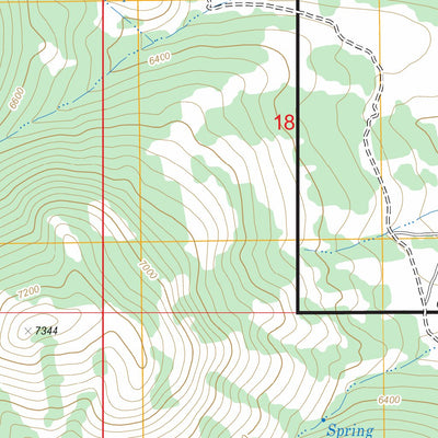US Forest Service - Topo Bear Camp Gulch, ID FSTopo Legacy digital map
