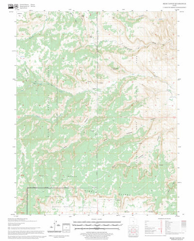 US Forest Service - Topo Bear Canyon, UT FSTopo Legacy digital map