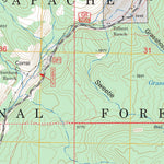 US Forest Service - Topo Bear Mountain, AZ FSTopo Legacy digital map
