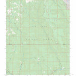 US Forest Service - Topo Bear Mountain, CO FSTopo Legacy digital map