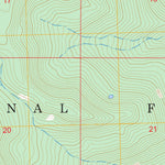 US Forest Service - Topo Bear Mountain, CO FSTopo Legacy digital map