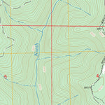 US Forest Service - Topo Bear Mountain, CO FSTopo Legacy digital map