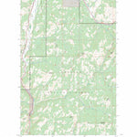 US Forest Service - Topo Bear Mountain, WA FSTopo Legacy digital map