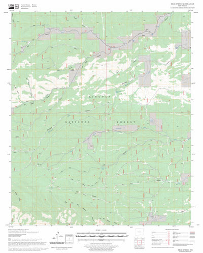 US Forest Service - Topo Bear Spring, NM FSTopo Legacy digital map