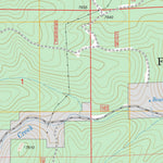 US Forest Service - Topo Bear Spring, NM FSTopo Legacy digital map