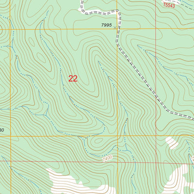 US Forest Service - Topo Bear Spring, NM FSTopo Legacy digital map