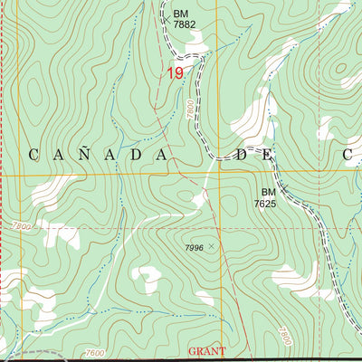 US Forest Service - Topo Bear Springs Peak, NM FSTopo Legacy digital map