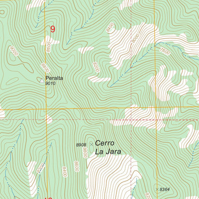 US Forest Service - Topo Bear Springs Peak, NM FSTopo Legacy digital map