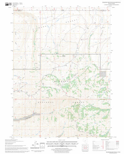 US Forest Service - Topo Bearpaw Mountain, NV - ID FSTopo Legacy digital map