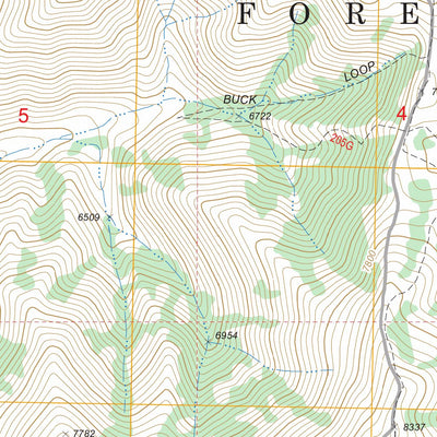 US Forest Service - Topo Bearpaw Mountain, NV - ID FSTopo Legacy digital map