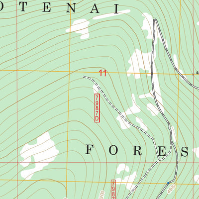 US Forest Service - Topo Beartrap Mountain, MT FSTopo Legacy digital map