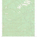 US Forest Service - Topo Bearwallow Mountain, NM FSTopo Legacy digital map