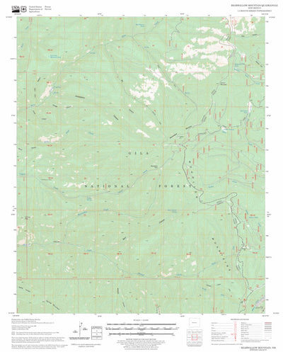 US Forest Service - Topo Bearwallow Mountain, NM FSTopo Legacy digital map
