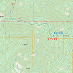 US Forest Service - Topo Bearwallow Mountain, NM FSTopo Legacy digital map