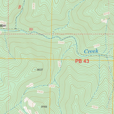 US Forest Service - Topo Bearwallow Mountain, NM FSTopo Legacy digital map
