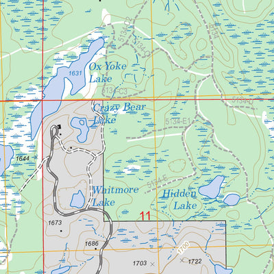 US Forest Service - Topo Beaton, MI FSTopo Legacy digital map