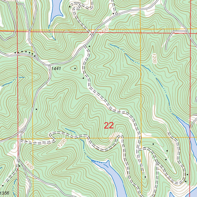 US Forest Service - Topo Beaver, AR - MO FSTopo Legacy digital map