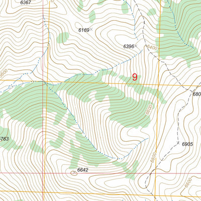 US Forest Service - Topo Beaver Creek, ID FSTopo Legacy digital map