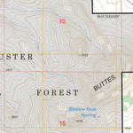 US Forest Service - Topo Beaver Flats South, MT FSTopo Legacy digital map