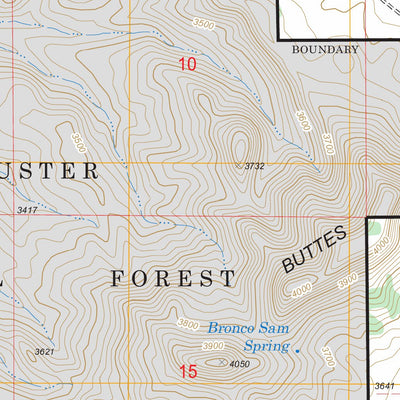 US Forest Service - Topo Beaver Flats South, MT FSTopo Legacy digital map