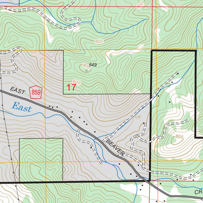 US Forest Service - Topo Beaver, OR FSTopo Legacy digital map