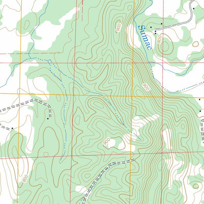 US Forest Service - Topo Beaverdale, GA - TN FSTopo Legacy digital map
