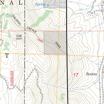 US Forest Service - Topo Beckwourth Pass, CA FSTopo Legacy digital map