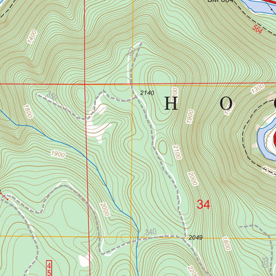 US Forest Service - Topo Bedford Point, OR FSTopo Legacy digital map