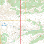 US Forest Service - Topo Beehive, MT FSTopo Legacy digital map