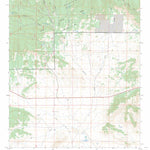 US Forest Service - Topo Bell Peak, NM FSTopo Legacy digital map