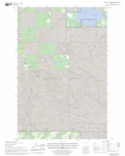 US Forest Service - Topo Belmont Point, MT FSTopo Legacy digital map