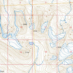 US Forest Service - Topo Bering Glacier D-8, AK FSTopo Legacy digital map