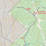 US Forest Service - Topo Berner, GA FSTopo Legacy digital map