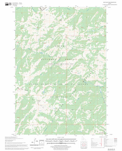 US Forest Service - Topo Big Baldy, ID FSTopo Legacy digital map