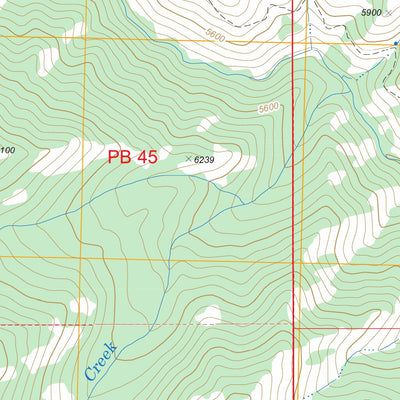 US Forest Service - Topo Big Baldy, ID FSTopo Legacy digital map