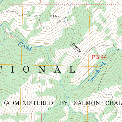 US Forest Service - Topo Big Baldy, ID FSTopo Legacy digital map