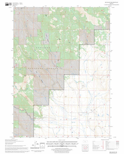 US Forest Service - Topo Big Baldy, OR FSTopo Legacy digital map