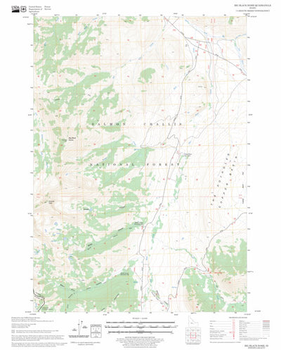 US Forest Service - Topo Big Black Dome, ID FSTopo Legacy digital map