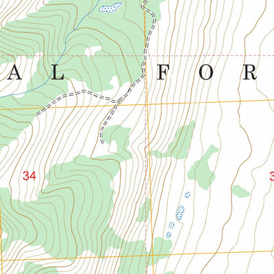US Forest Service - Topo Big Black Dome, ID FSTopo Legacy digital map