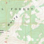 US Forest Service - Topo Big Blind Canyon, ID FSTopo Legacy digital map