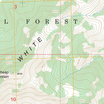 US Forest Service - Topo Big Blind Canyon, ID FSTopo Legacy digital map