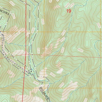 US Forest Service - Topo Big Bull Mountain, CO FSTopo Legacy digital map