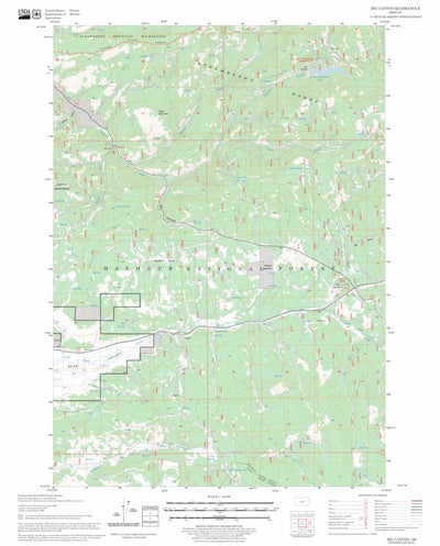 US Forest Service - Topo Big Canyon, OR FSTopo Legacy digital map