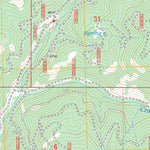 US Forest Service - Topo Big Canyon, OR FSTopo Legacy digital map