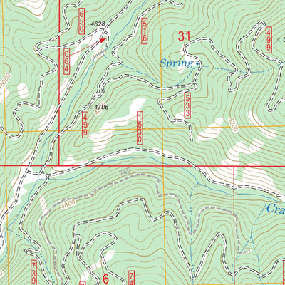 US Forest Service - Topo Big Canyon, OR FSTopo Legacy digital map